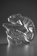 Titelbild Glasgravur: Chamäleon
